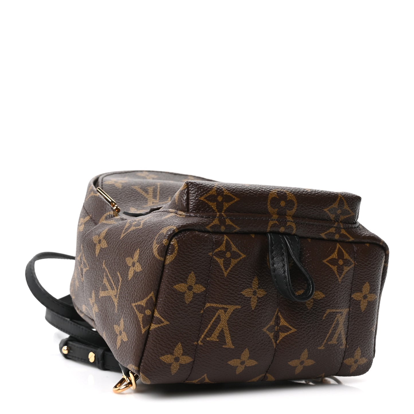 Monogram Palm Springs Backpack Mini