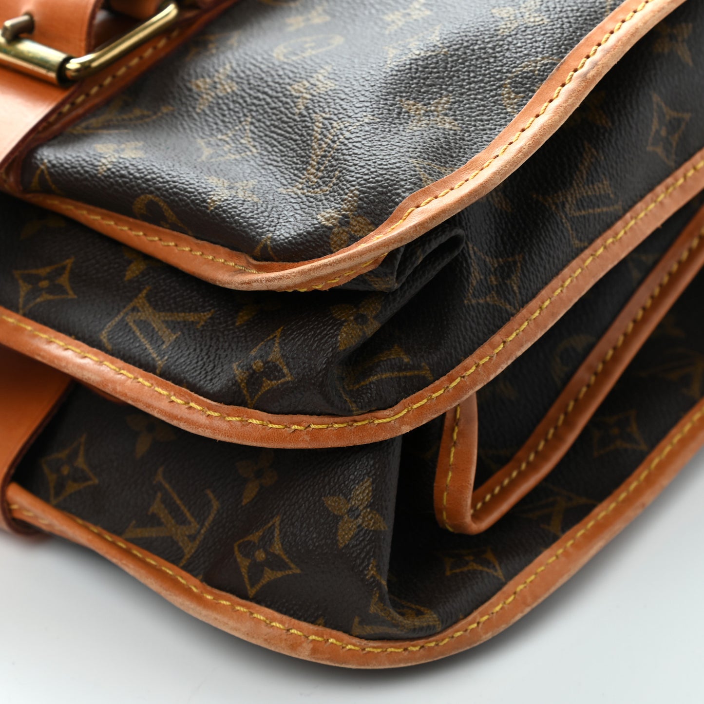 Monogram Portable Garment Bag