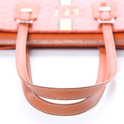 Goyard Goyardine Okinawa PM Orange 14 of 17