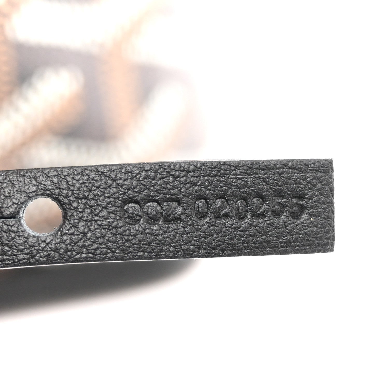 Goyard Goyardine Reversible Mini Anjou Black 18 of 18