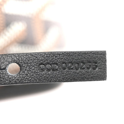 Goyard Goyardine Reversible Mini Anjou Black 18 of 18
