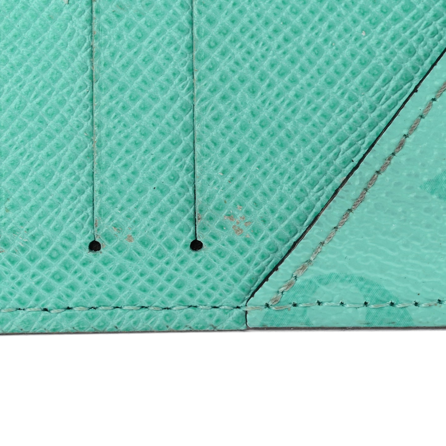 Taigarama Coin Card Holder Miami Green