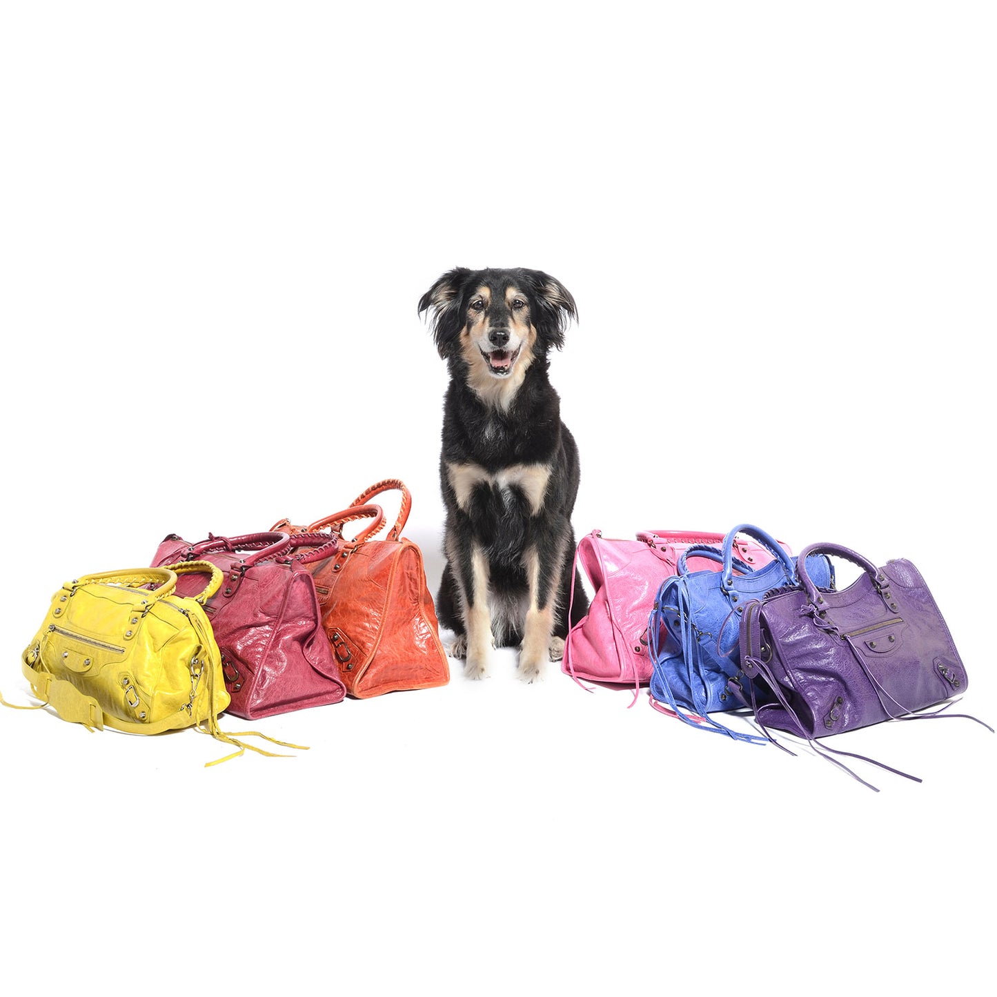 FASHIONPHILE Pet Picks Calendar