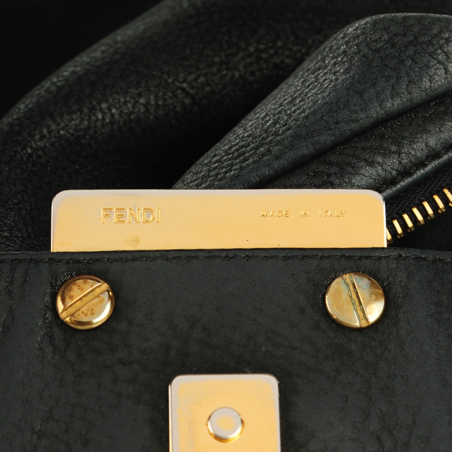 Fendi Vitello Savana Forever Hobo Black Tartaruga Natural 9 of 10