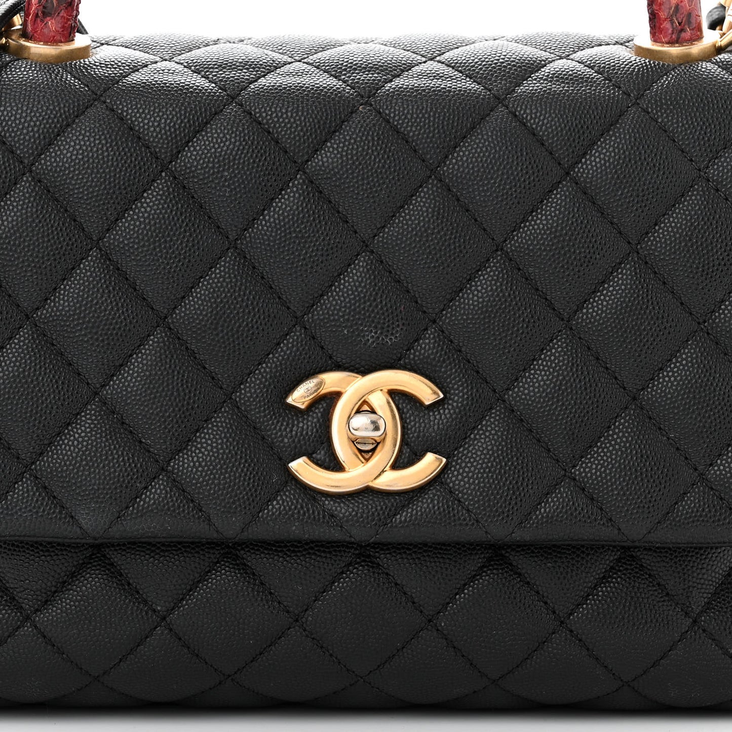 Caviar Elaphe Quilted Small Coco Handle Flap Black