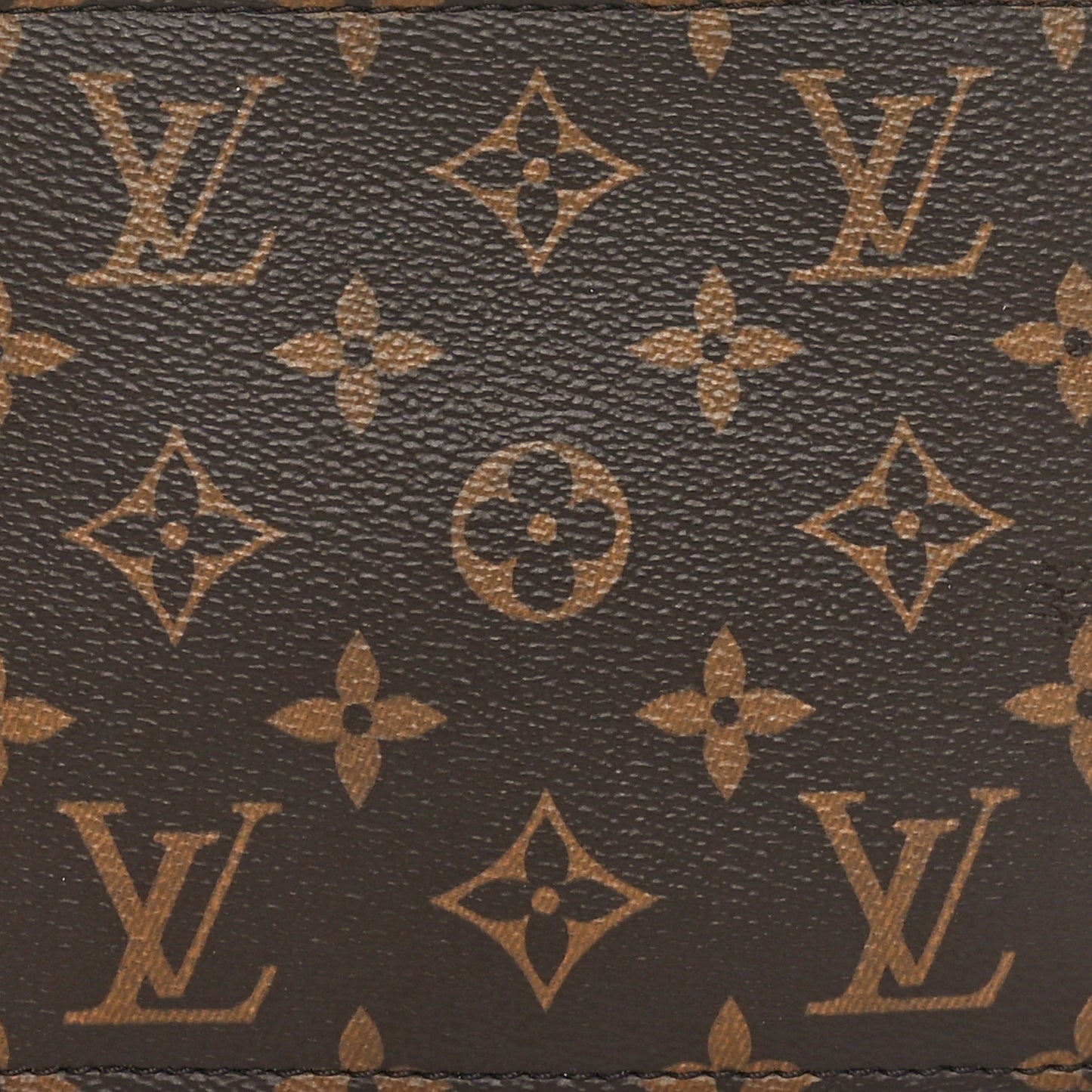 Monogram Loop Hobo Pochette
