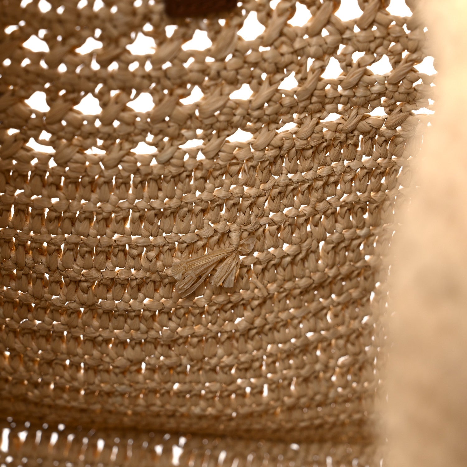 Saint Laurent Raffia Monogram Hobo Naturale 10 of 10