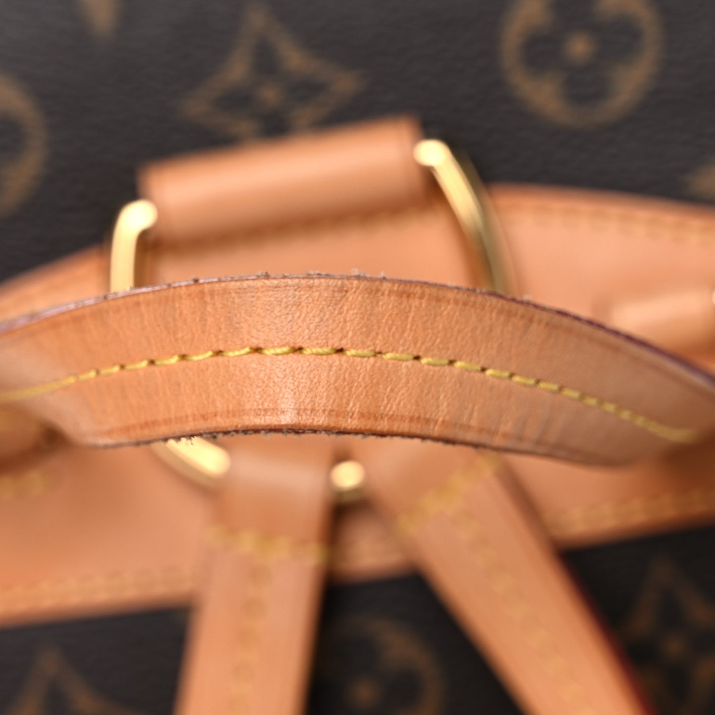 Monogram Montsouris NM Backpack