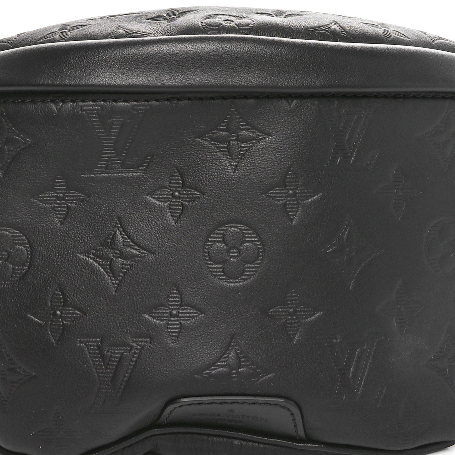Calfskin Monogram Shadow Discovery Bumbag Black