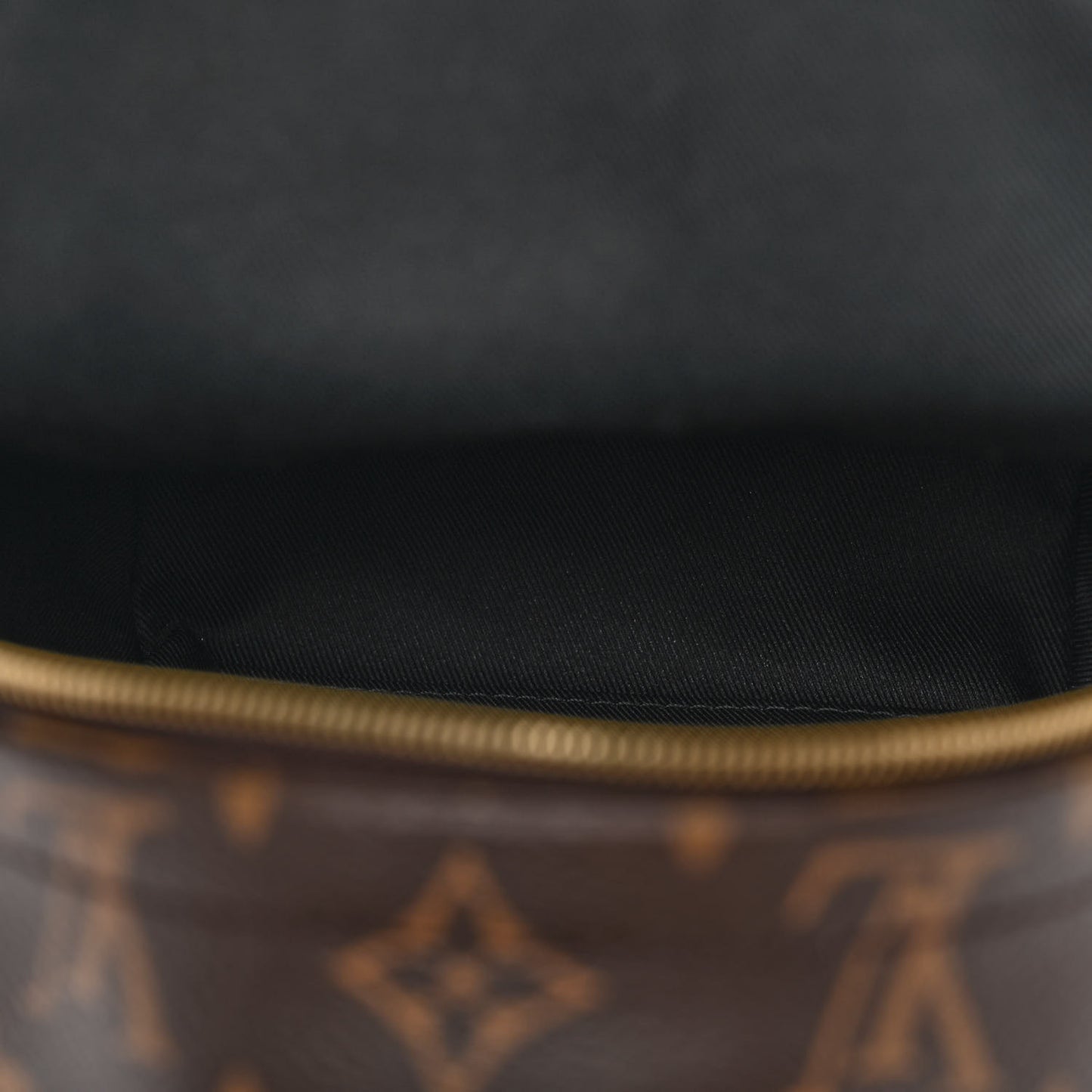Monogram Palm Springs Backpack Mini
