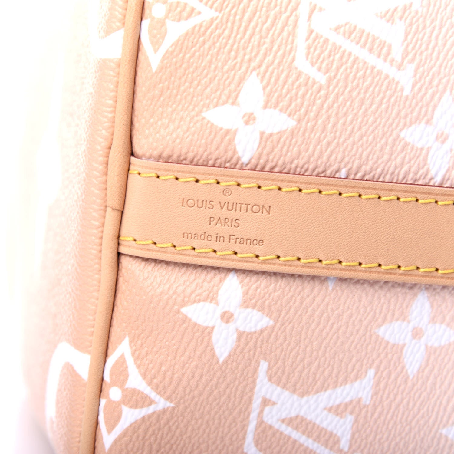 Louis Vuitton Monogram Giant By The Pool Speedy Bandouliere 25 Brume 7 of 11