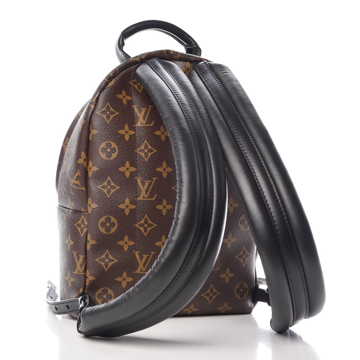Monogram Palm Springs Backpack PM