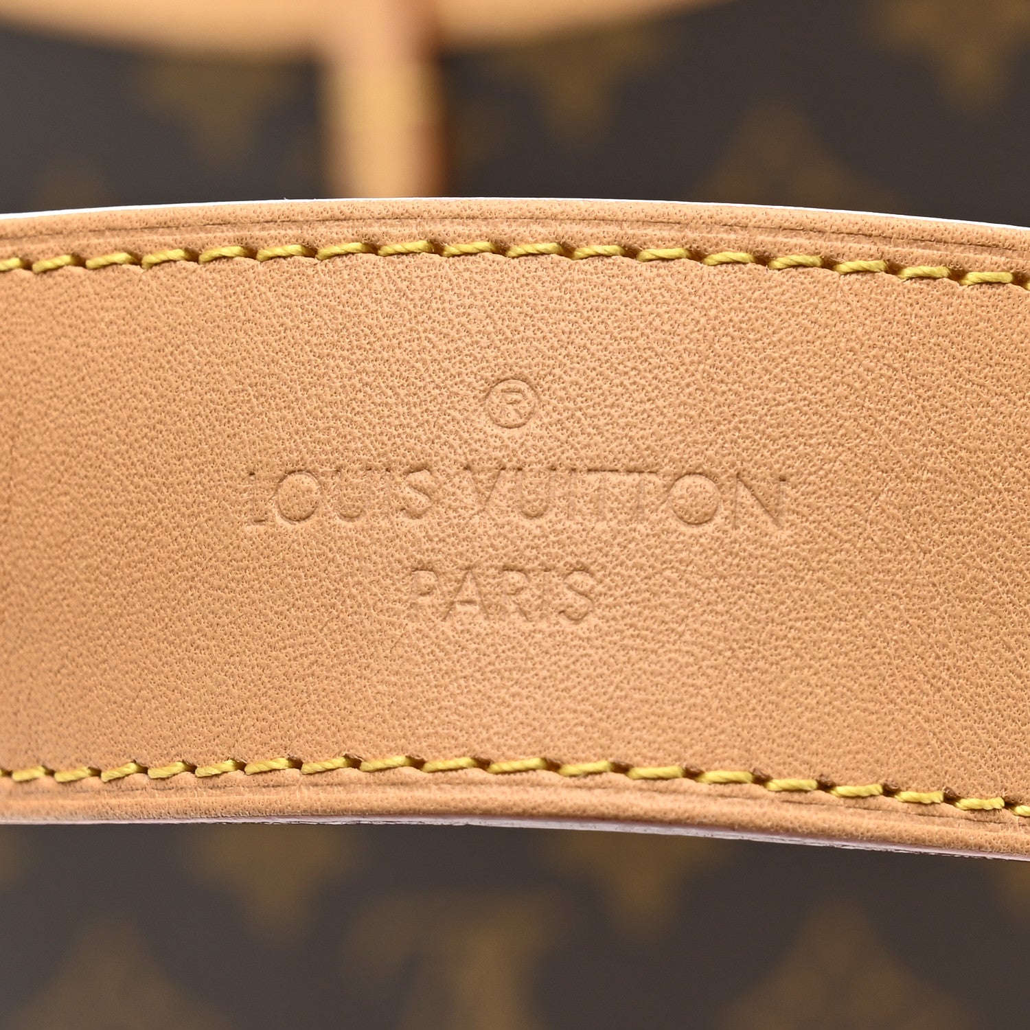 Louis Vuitton Monogram Carryall PM 8 of 13