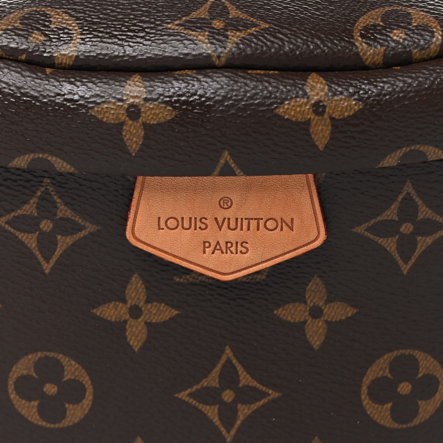 Louis Vuitton Monogram Bumbag 7 of 10