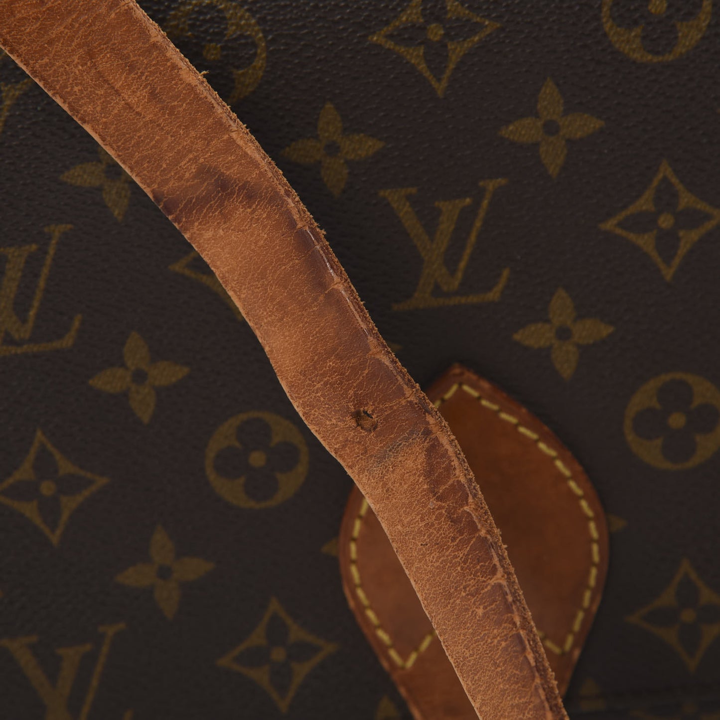 Monogram Cartouchiere 26
