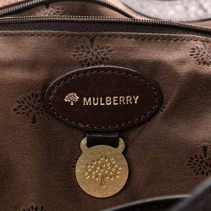 Mulberry Soft Buffalo Medium Alexa Chocolate 6 of 18