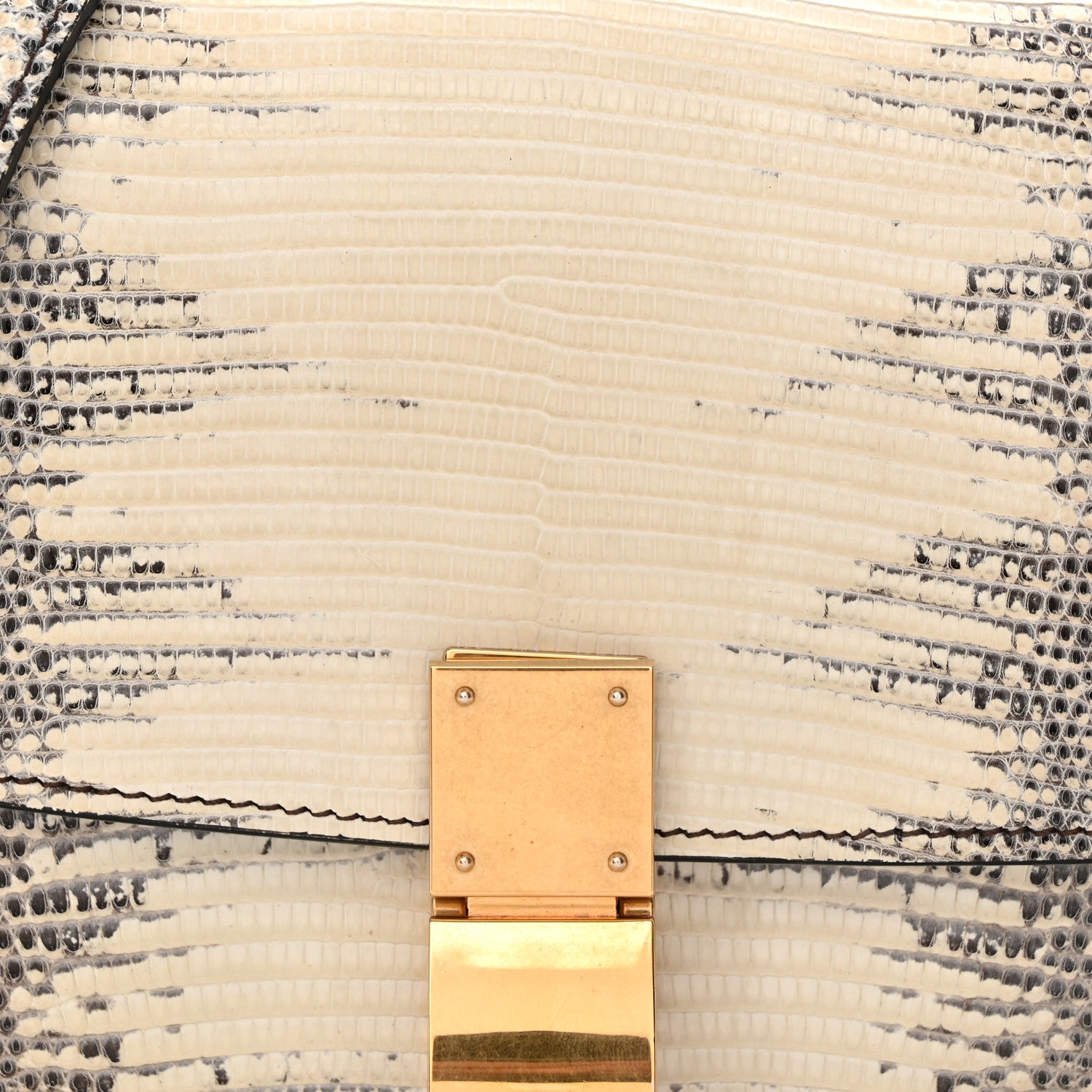 Celine Lizard Small Classic Box Flap Bag Natural 8 of 13