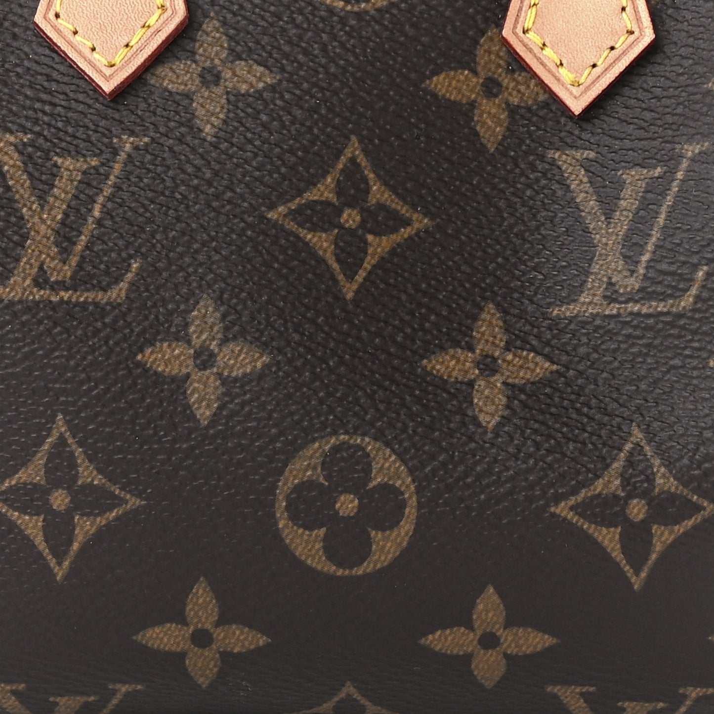 Monogram Nano Speedy