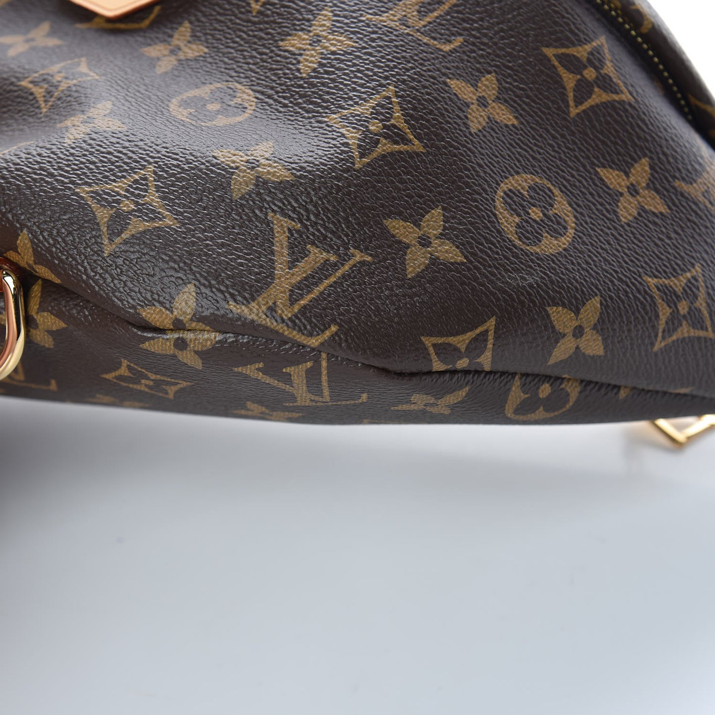 Monogram Bumbag