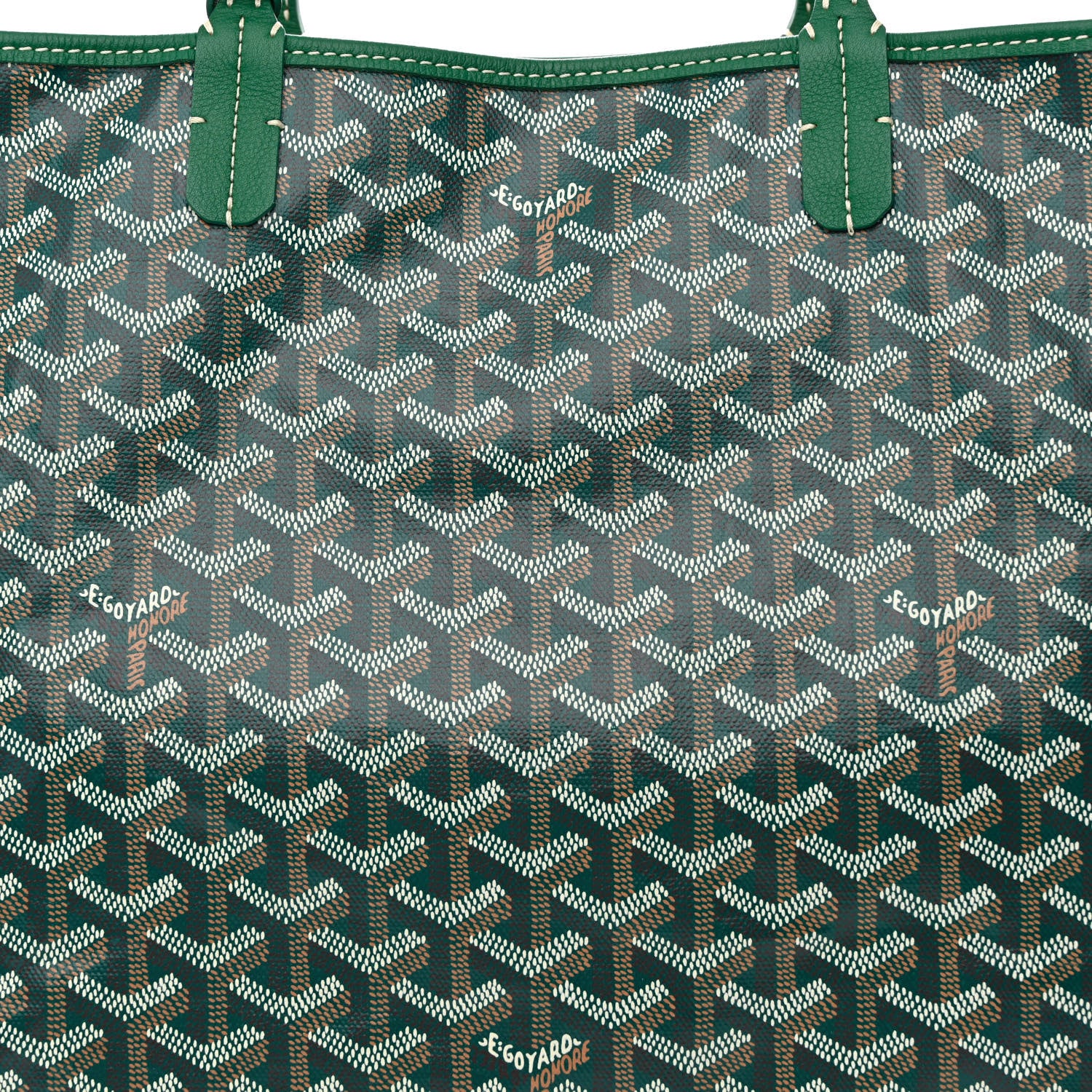 Goyard Goyardine Saint Louis PM Green 10 of 12