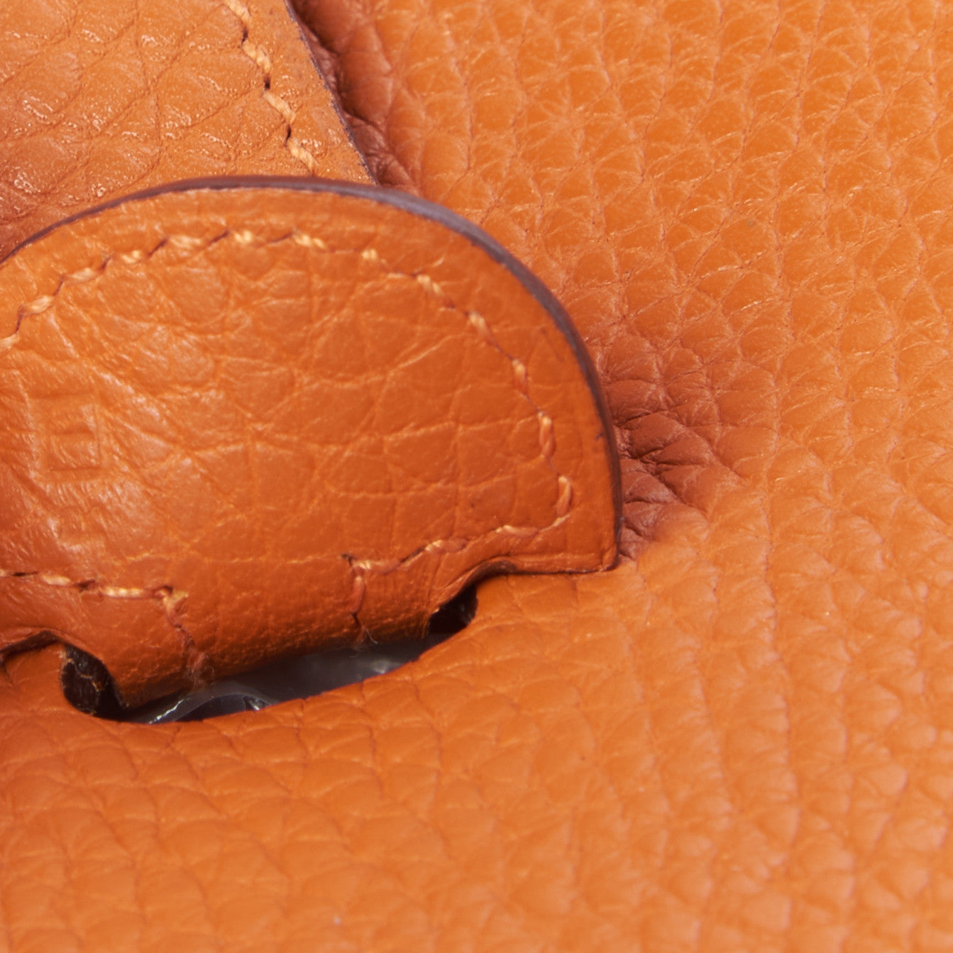 Taurillon Clemence Evelyne PM Orange