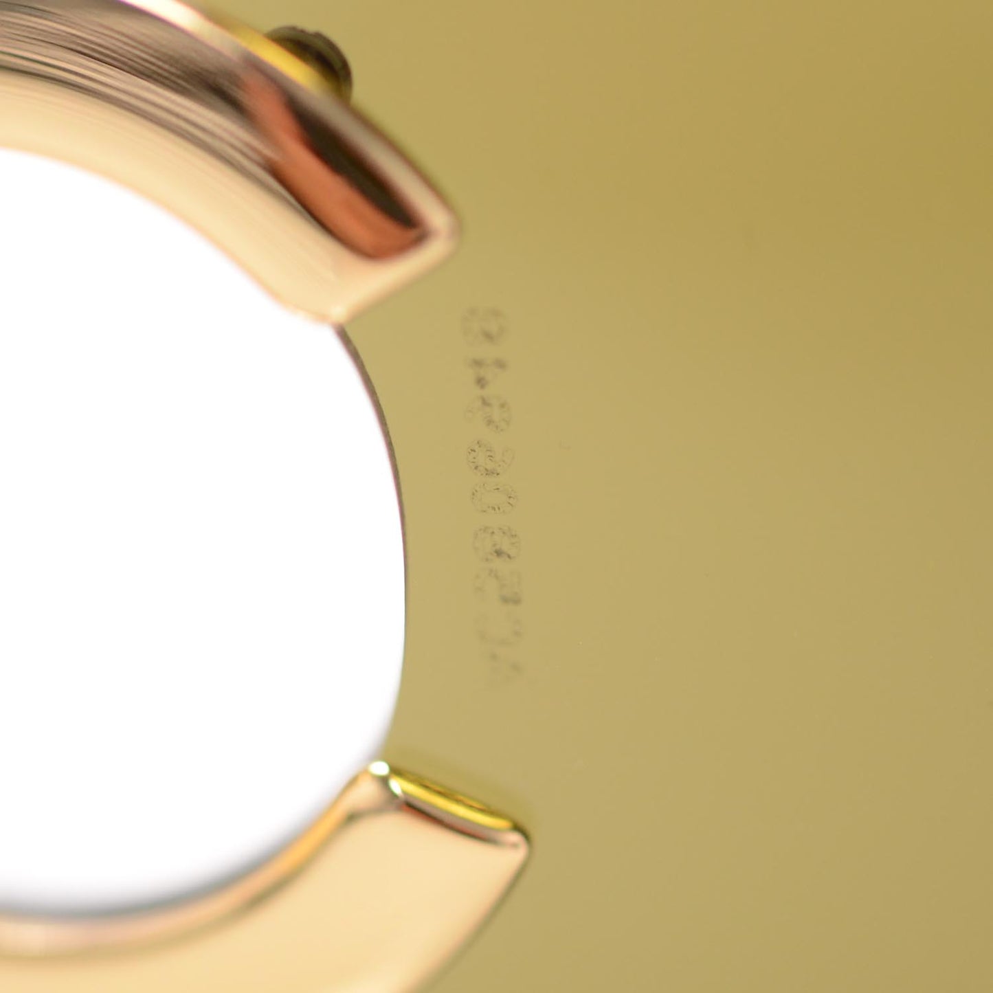 Tortoise Shell CC Sunglasses 4124