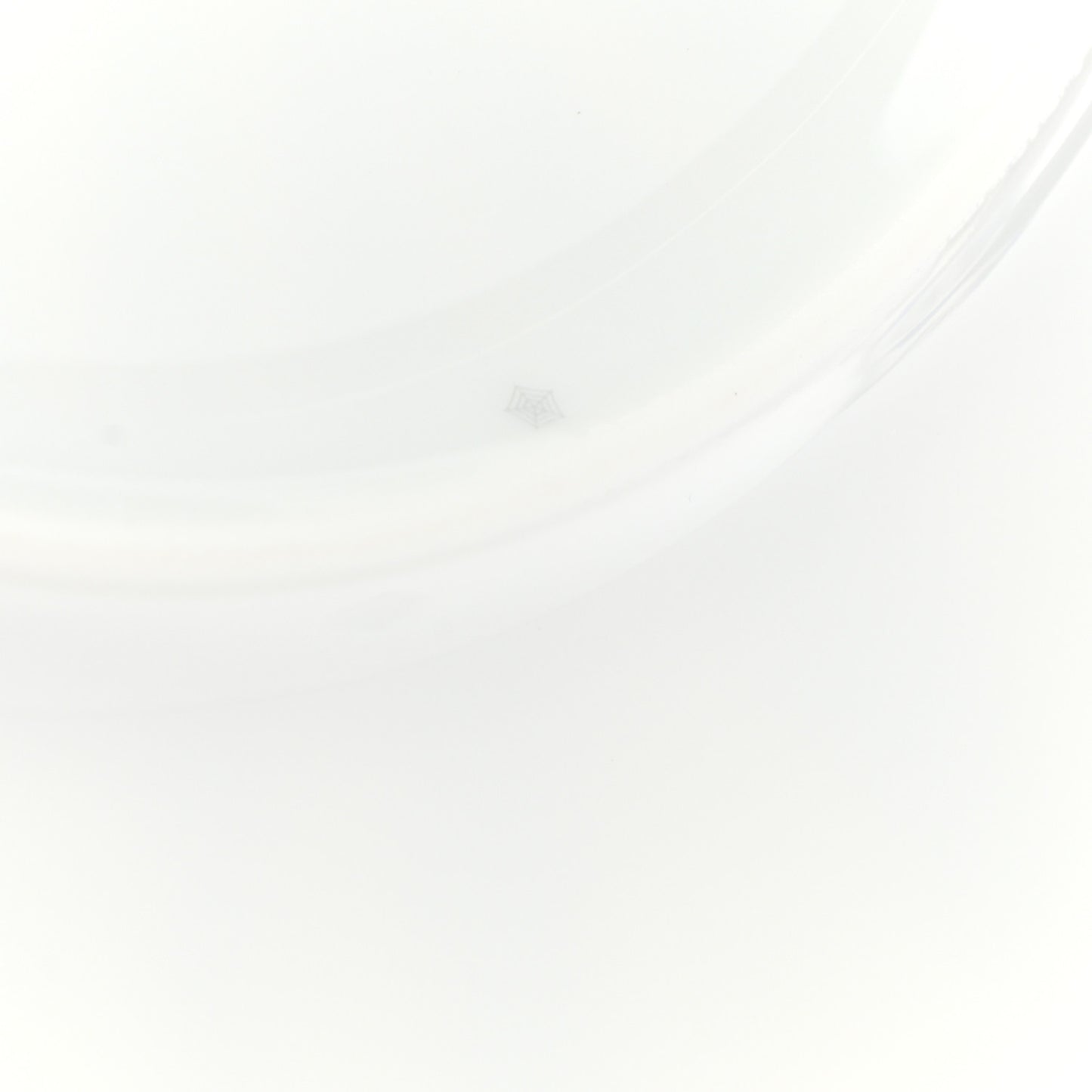 Porcelain Passifolia Dinner Plate N°2