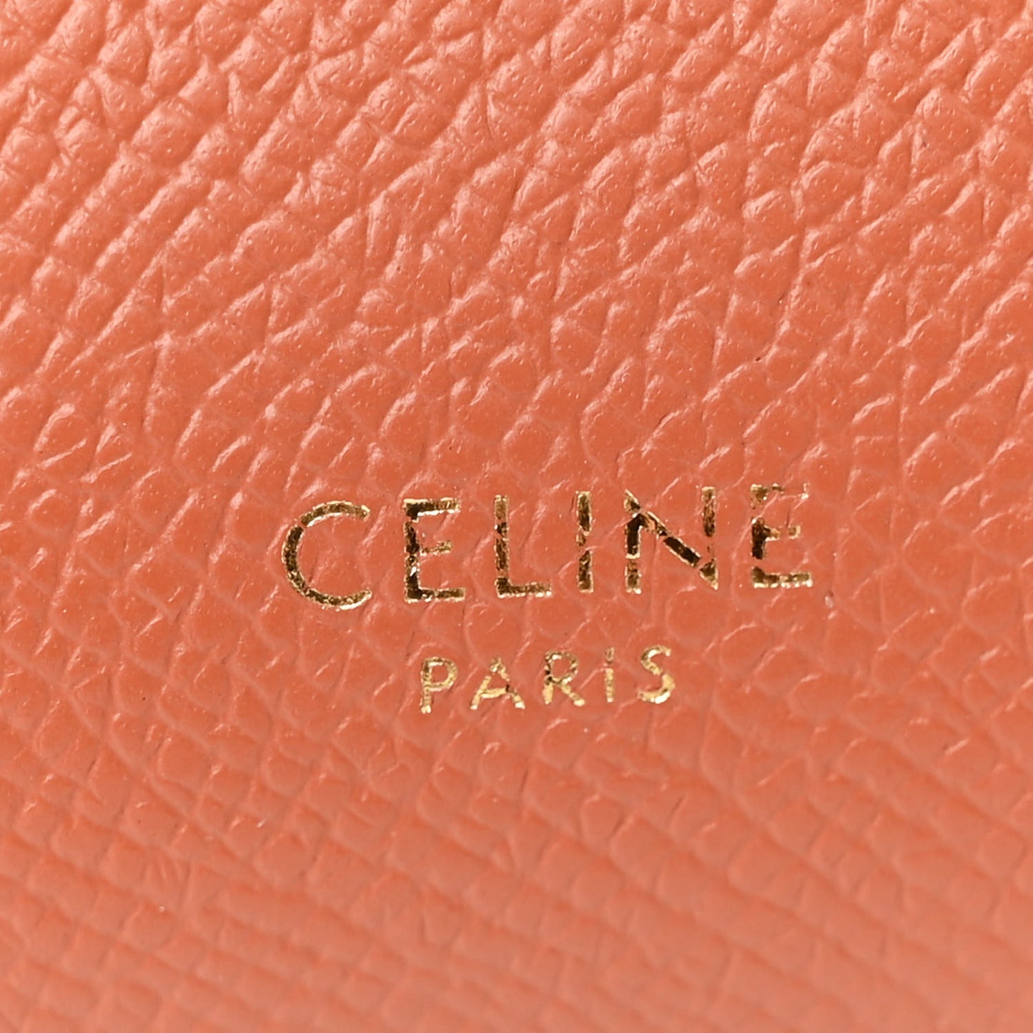 Grained Calfskin Nano Belt Bag Terracotta