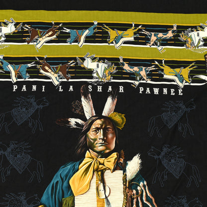 Hermes Cashmere Silk Pani La Shar Pawnee Shawl 140 3 of 5