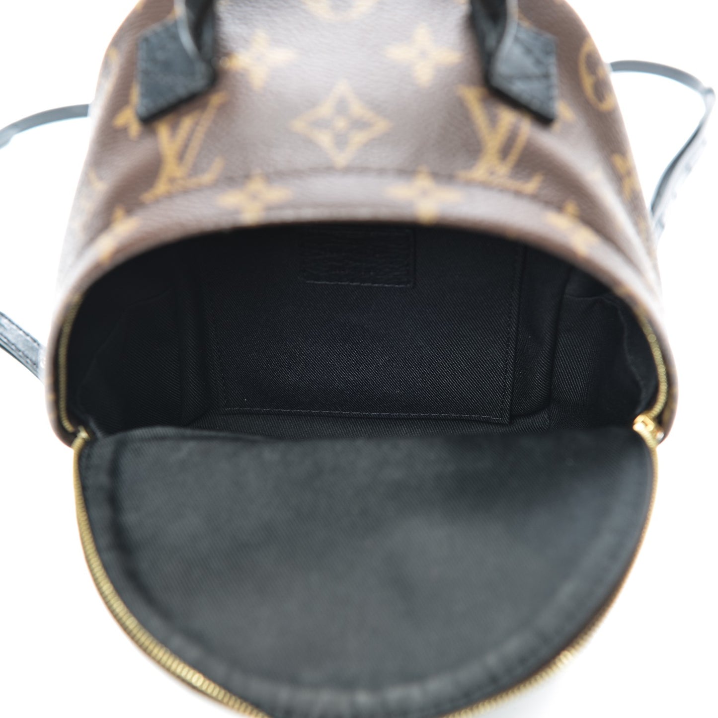 Monogram Palm Springs Backpack Mini