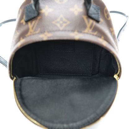 Louis Vuitton Monogram Palm Springs Backpack Mini 5 of 12