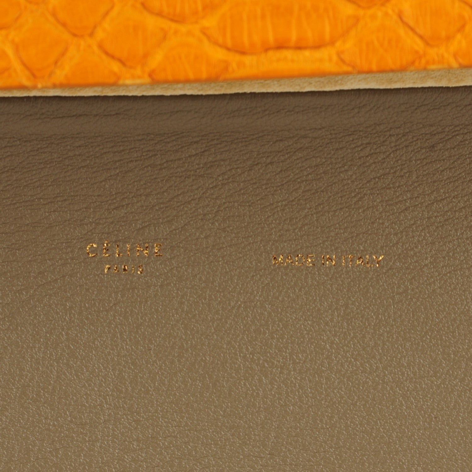 Celine Python Smooth Calfskin All Soft Shoulder Bag Saffron 7 of 8