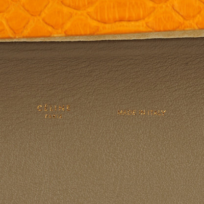 Celine Python Smooth Calfskin All Soft Shoulder Bag Saffron 7 of 8