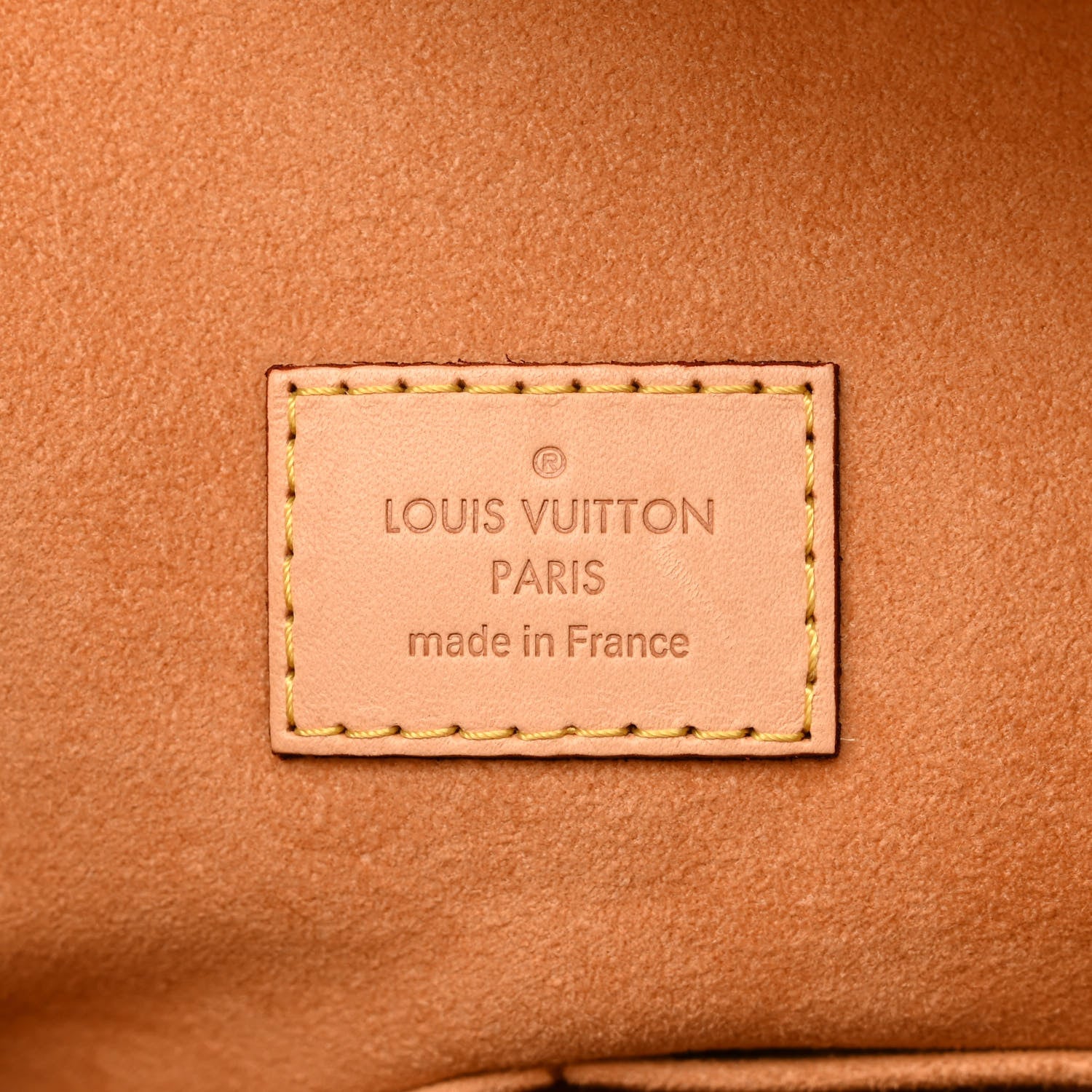 Louis Vuitton Monogram Gaia Epice 6 of 10