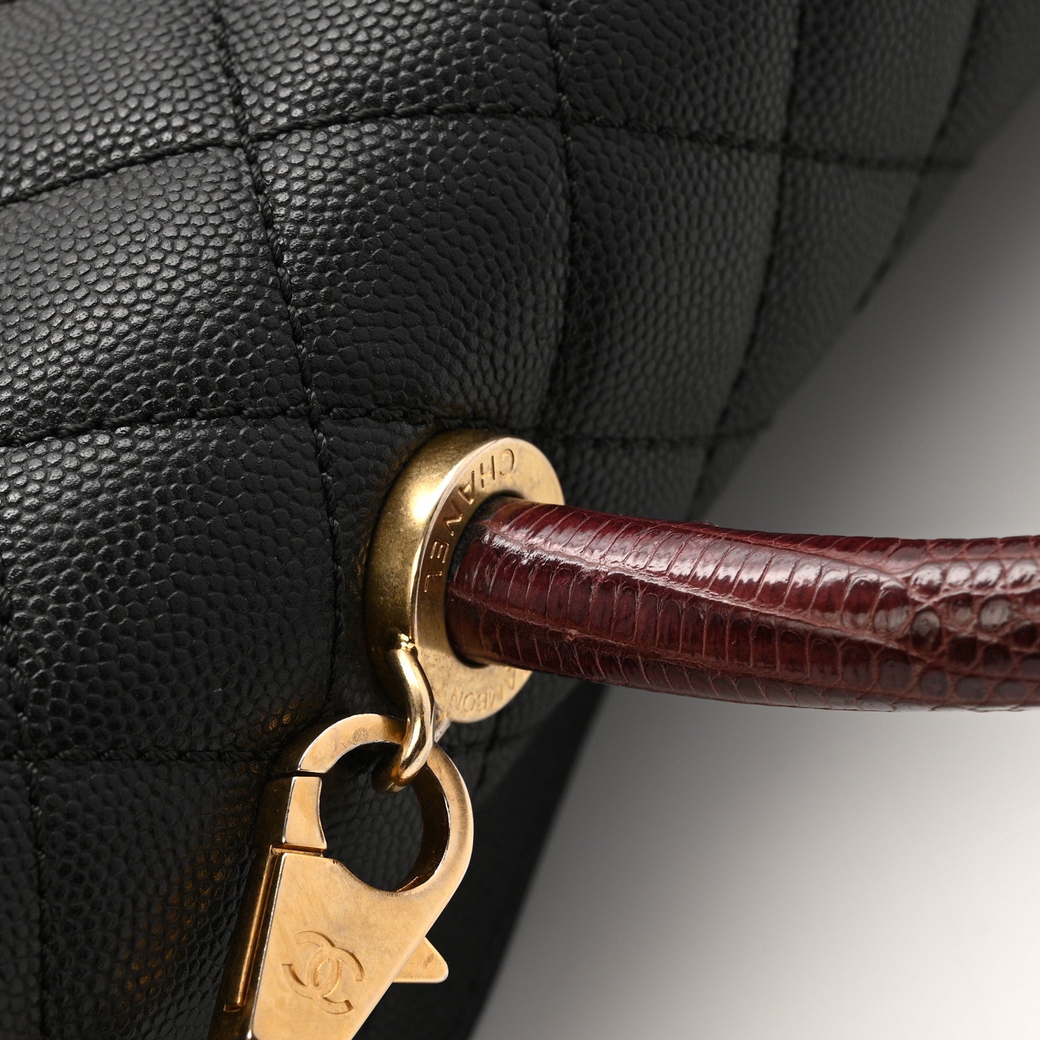CHANEL 楽1番 Amazon | スカラー 143682 ネコ花柄フォトコラージュ シアー×フリース