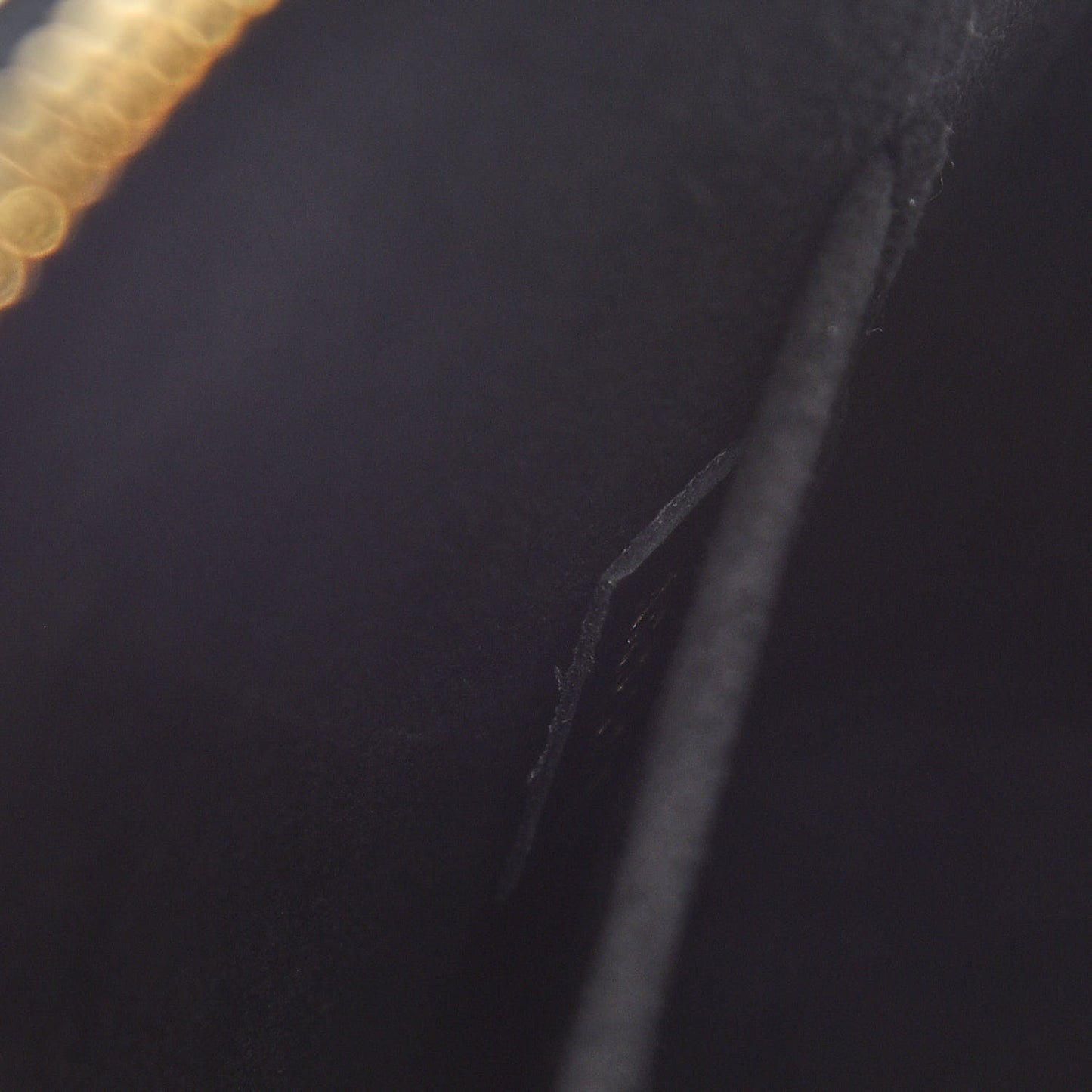 Epi Blooming Flowers Alma BB Black