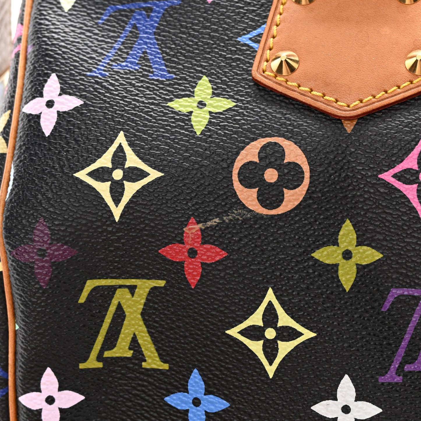 Monogram Multicolor Speedy 30 Black