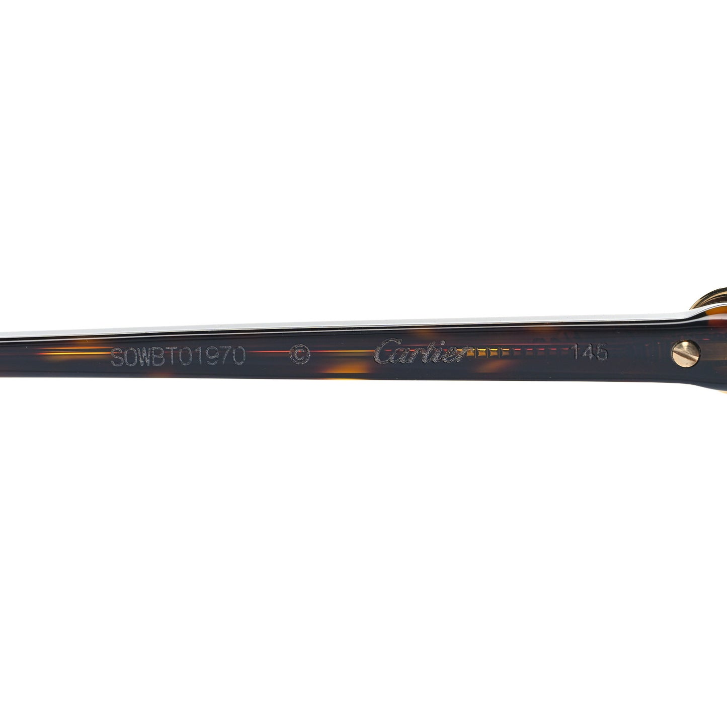 Acetate Sunglasses CT0007OA Havana