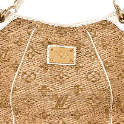 Louis Vuitton Monogram Raffia Galliera Amalfitana 6 of 8
