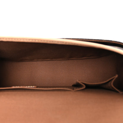 Louis Vuitton Monogram Sologne 5 of 10
