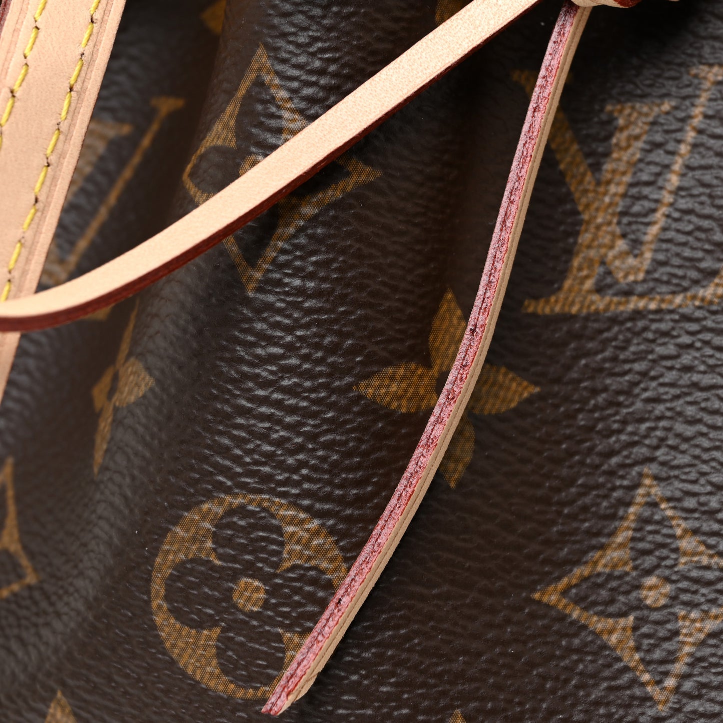 Monogram Nano Noe