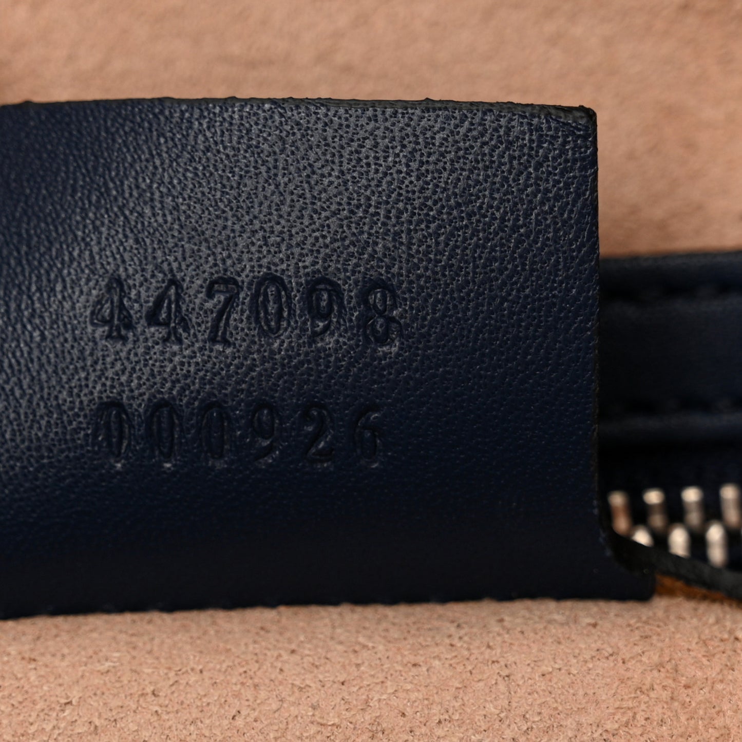 Calfskin Crystal Feather Embroidered Large Dionysus Hobo Dark Blue