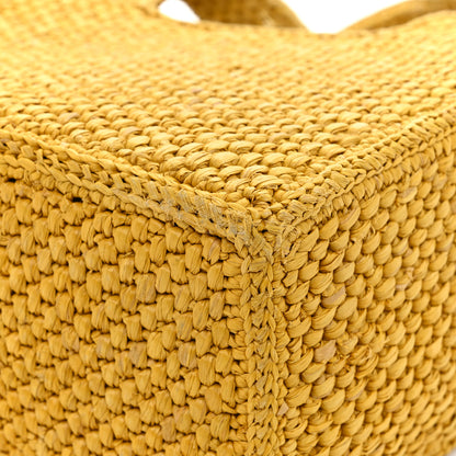 Loewe Raffia Small Paula's Ibiza Logo Tote Ochre 12 of 17