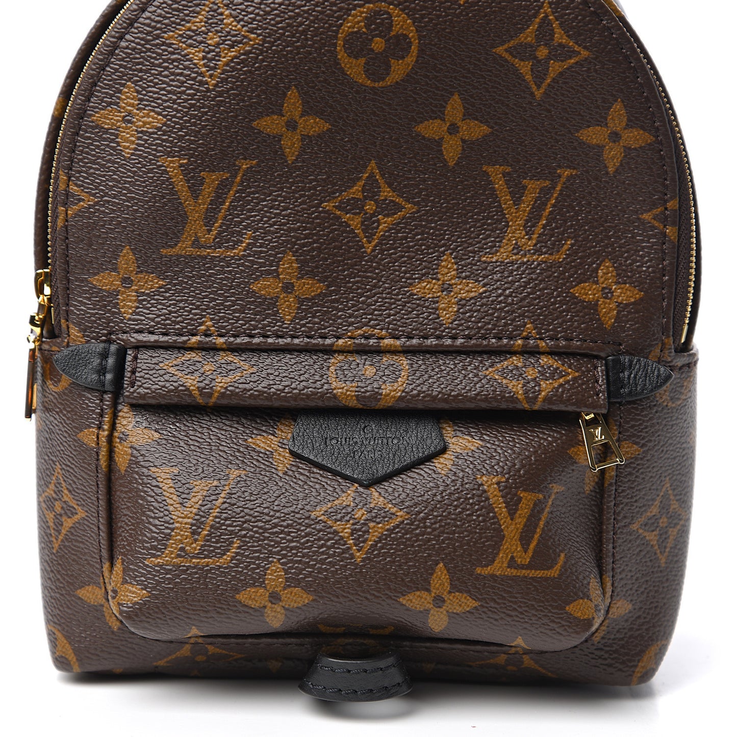 Monogram Palm Springs Backpack Mini