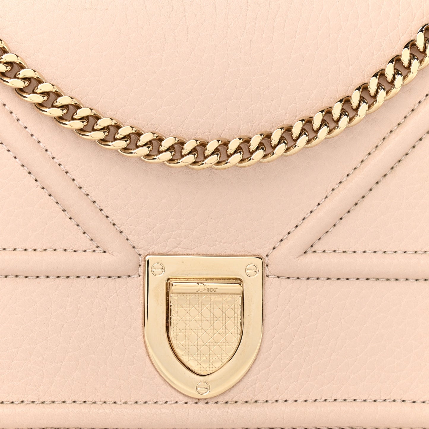 Grained Calfskin Diorama Wallet on Chain Pouch Nude