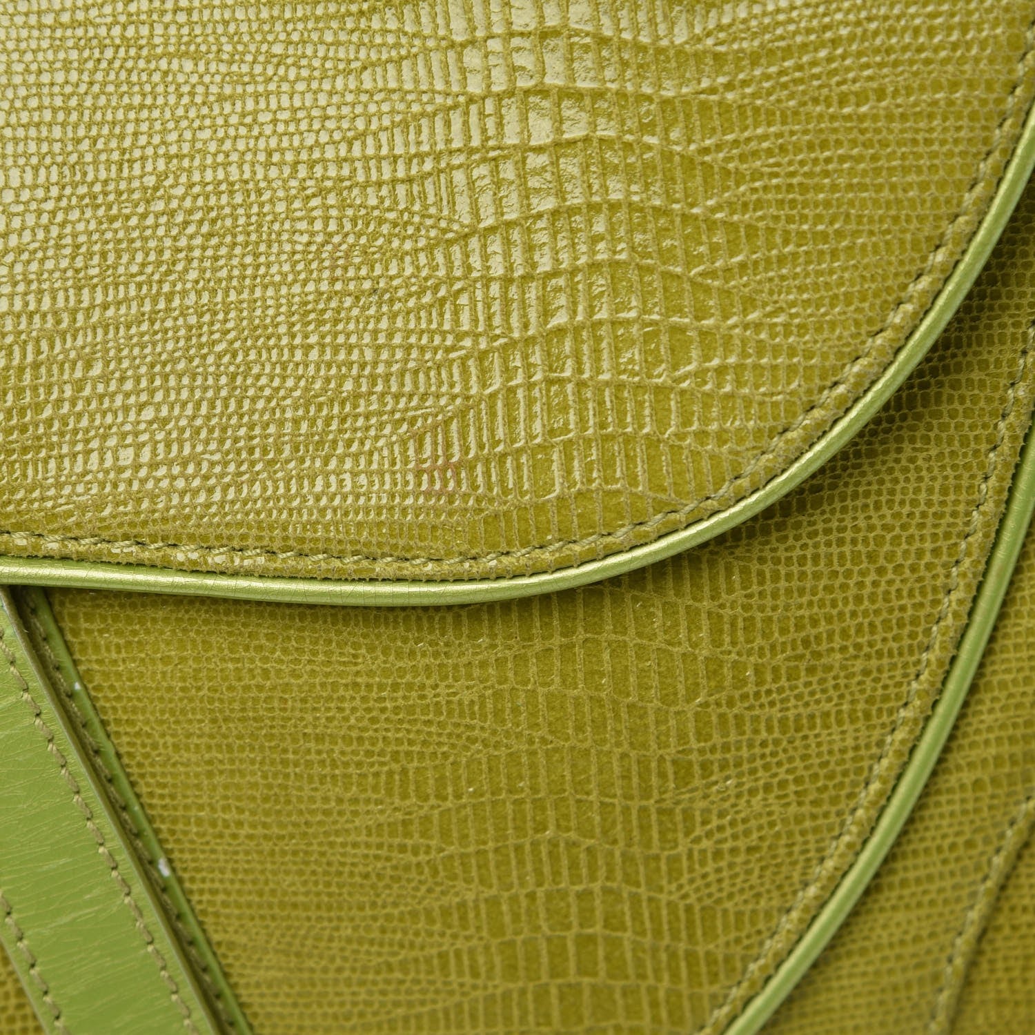 Christian Dior Lizard Double Saddle Bag Green 8 of 9