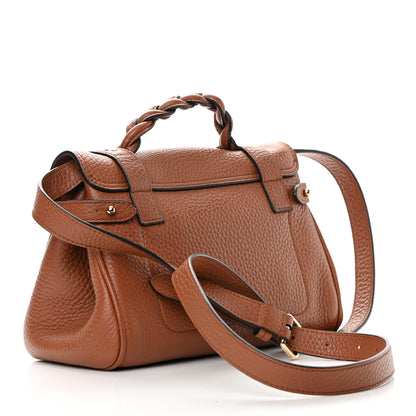 Mulberry Heavy Grain Mini Alexa Chestnut 3 of 10