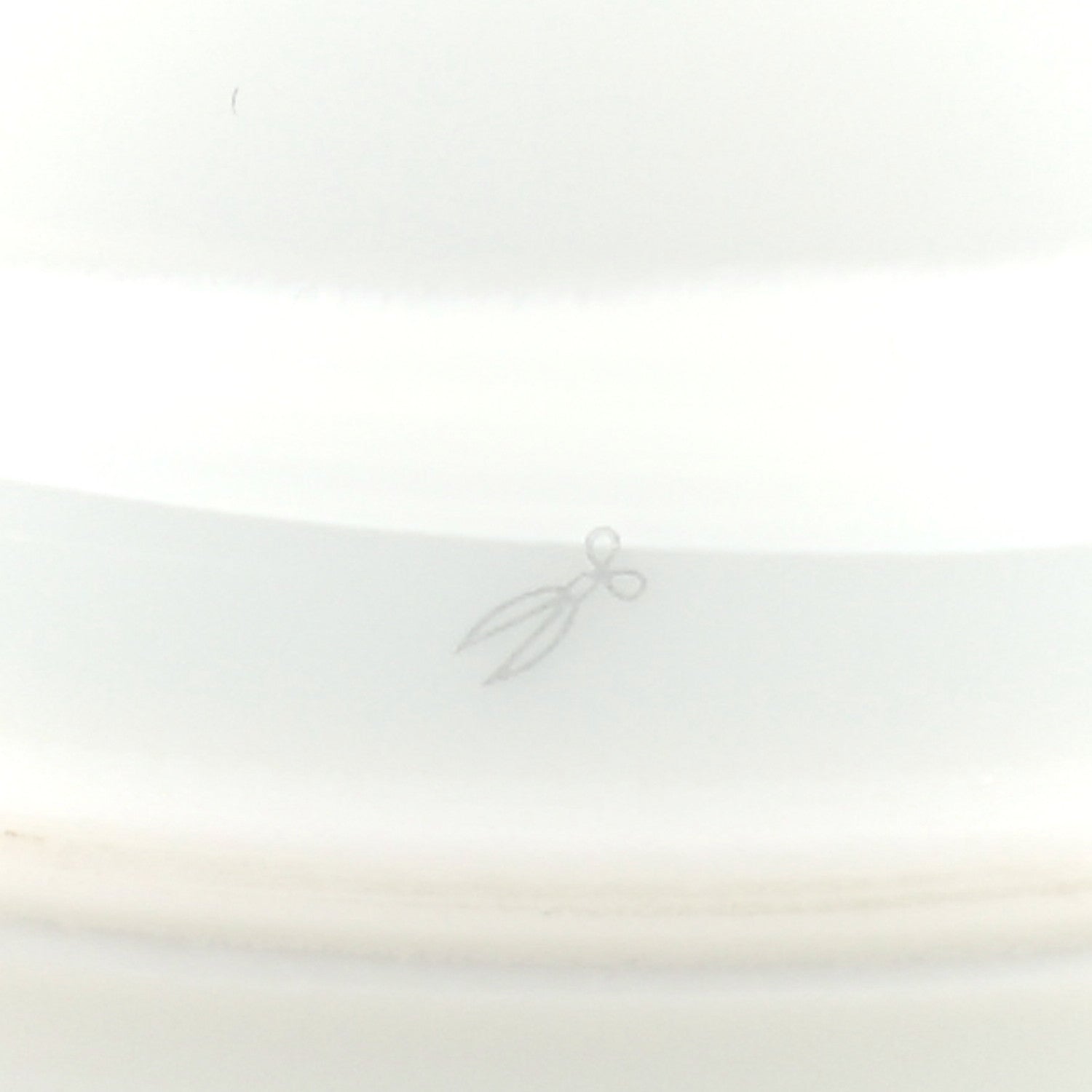 Hermes Porcelain Passifolia Dinner Plate N°2 Set of 2 5 of 5