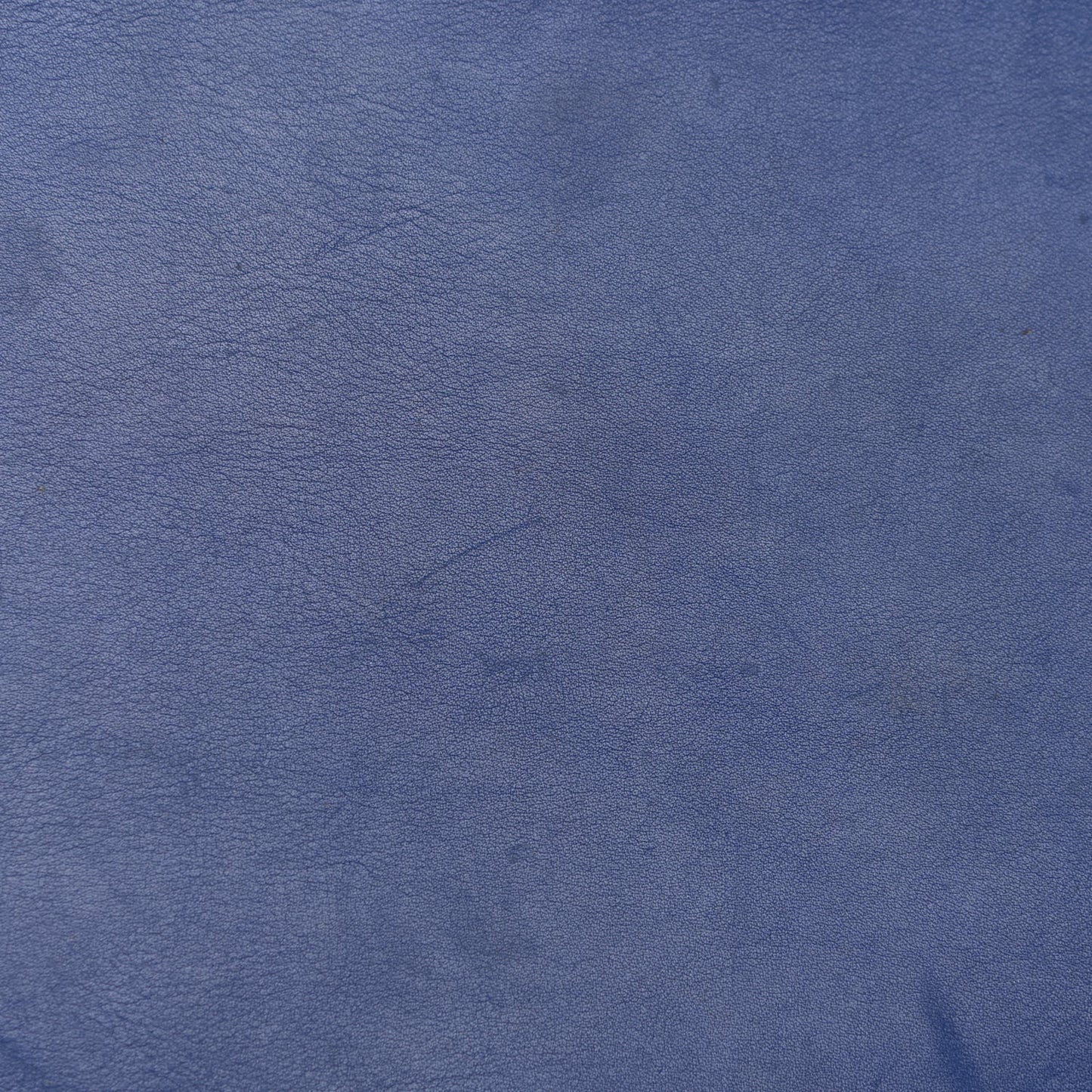 Suede Medium Phantom Luggage Royal Blue