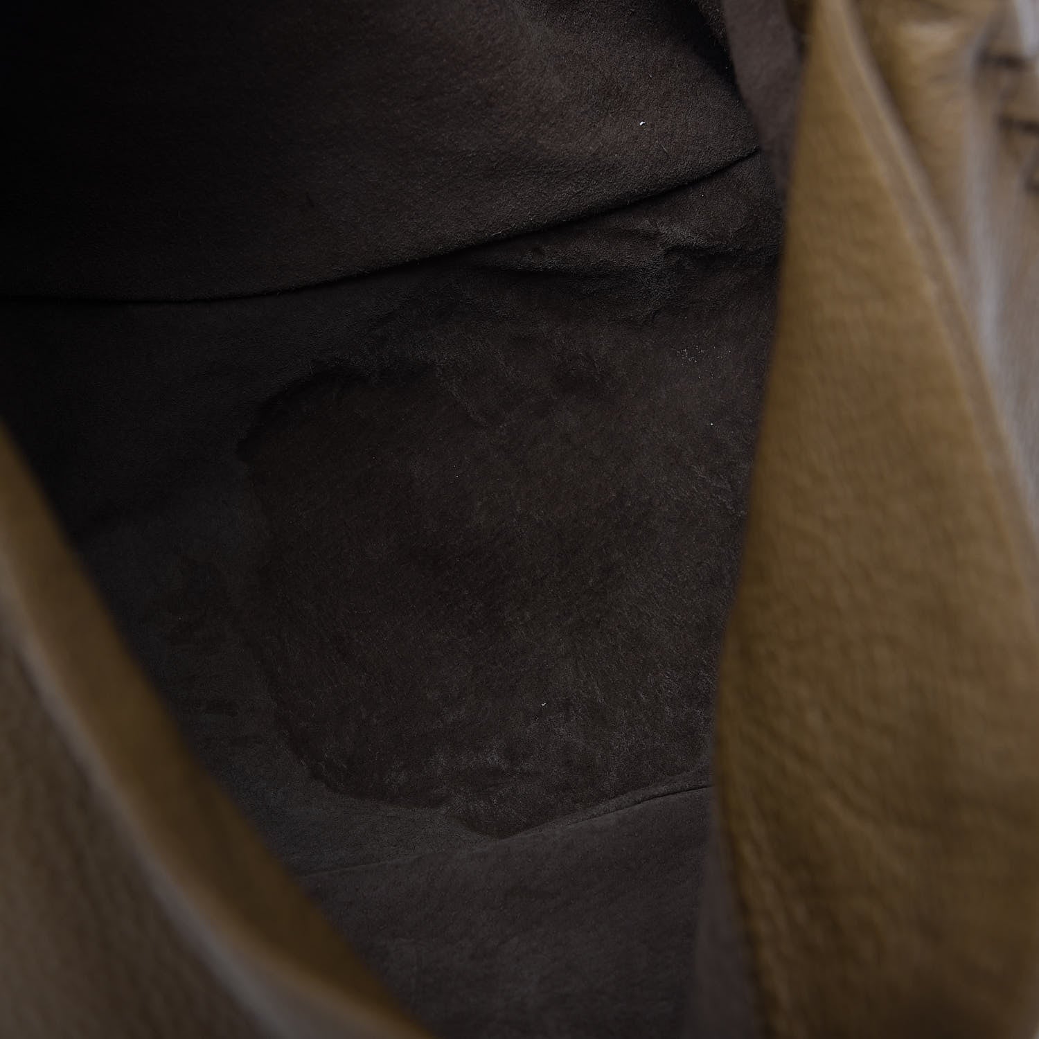 Bottega Veneta Cervo Deerskin Hobo 6 of 13